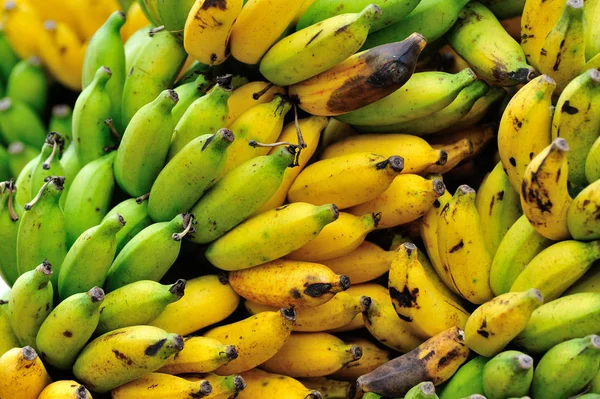 Υποκατάστημα της ώριμες μπανάνες — Φωτογραφία Αρχείου