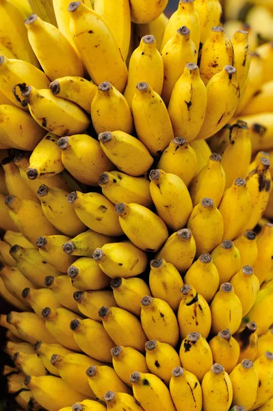 Branch of ripe bananas — Stock Photo, Image