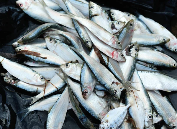 Φρέσκο ψάρι που πωλούν στην αγορά — Φωτογραφία Αρχείου