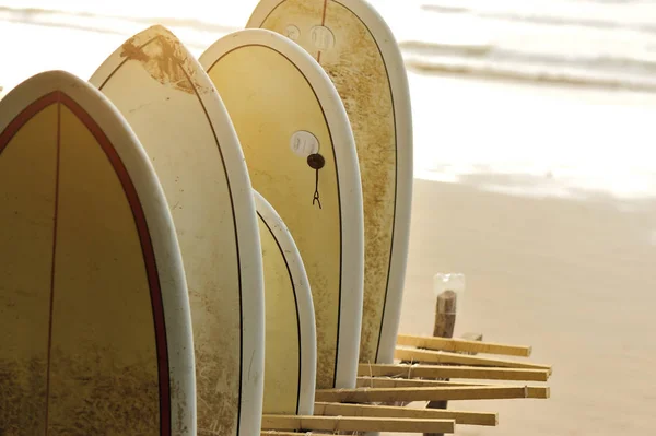 Fila de tablas de surf en alquiler — Foto de Stock