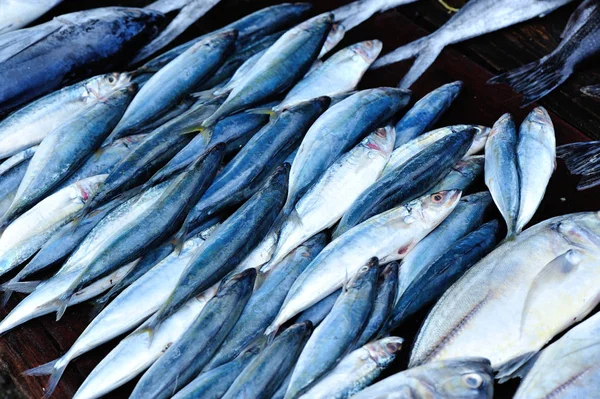 Φρέσκο ψάρι που πωλούν στην αγορά — Φωτογραφία Αρχείου