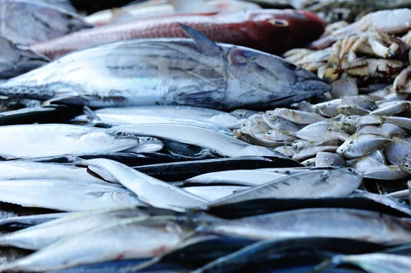 Fresh fish selling on market — Stock Photo, Image
