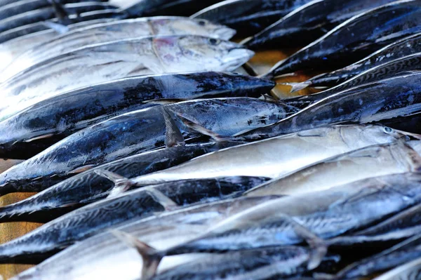 Fresh fish selling on market — Stock Photo, Image