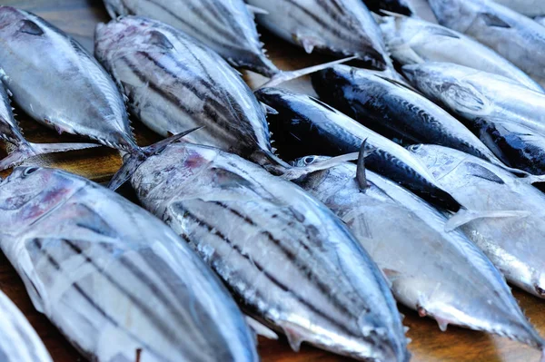 新鮮な魚を市場での販売 — ストック写真