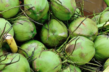  Hindistancevizi göstermek için satmak  