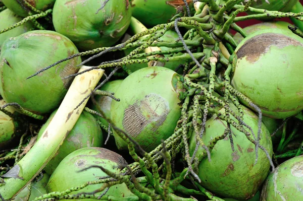 Groene kokosnoten verkopen op de markt — Stockfoto