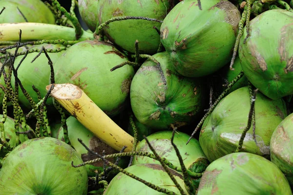 在市场上销售的绿色椰子 — 图库照片