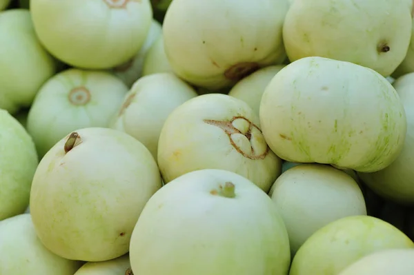 Honeydew Melons at fair — Stock Photo, Image