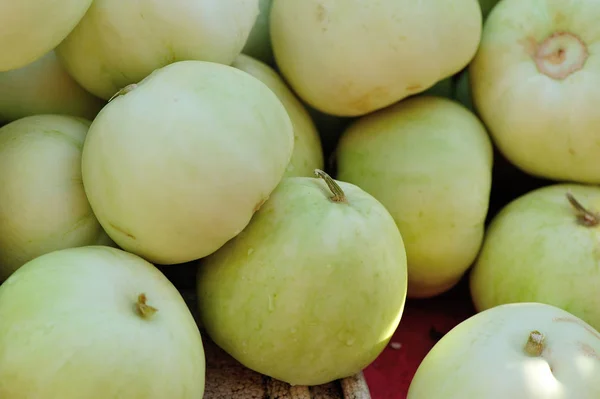 Honeydew Melons at fair — Stock Photo, Image