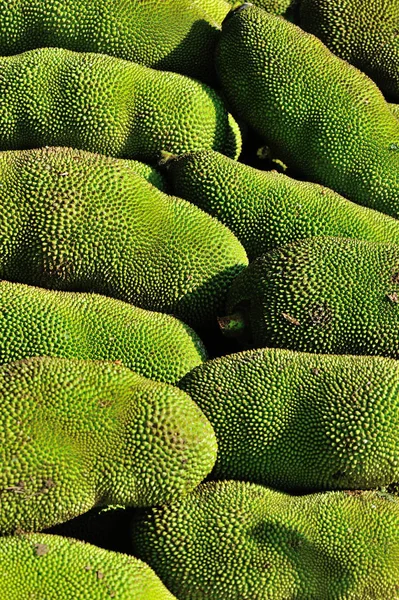 Olgun jackfruits yığını — Stok fotoğraf