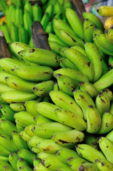 Bunch of fresh bananas Royalty Free Stock Photos