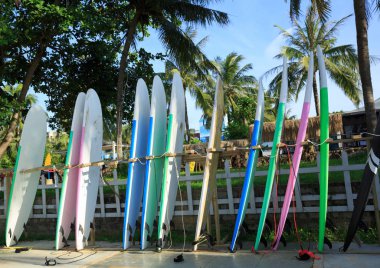 Sörf tahtaları Kiralık satırı