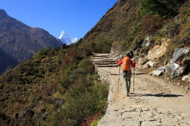 Dağlar, sırt çantası olan kadın 