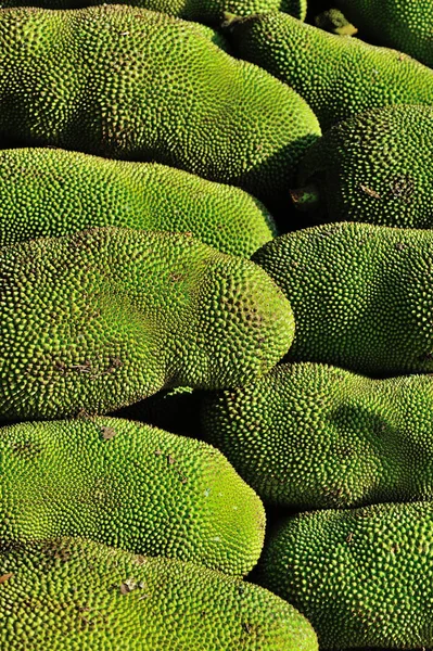 Olgun jackfruits yığını — Stok fotoğraf