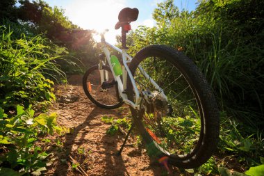 dağ bisikleti orman izinde 