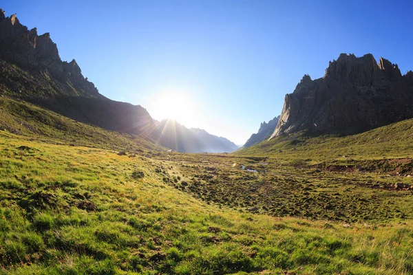 Hory s zelenou trávu na šířku — Stock fotografie