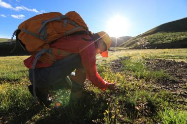 Dağlarda yürüyüş yapan genç bir kadın.