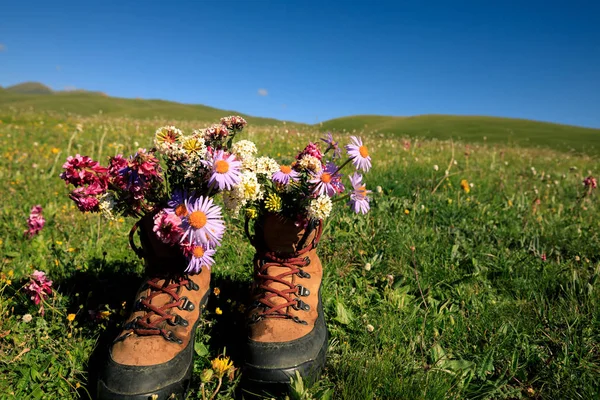 Bottes de randonnée avec de belles fleurs — Photo