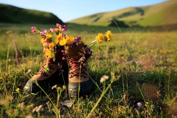 Wandelen laarzen met prachtige bloemen — Stockfoto
