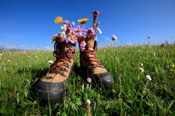 Wandelen laarzen met prachtige bloemen — Stockfoto