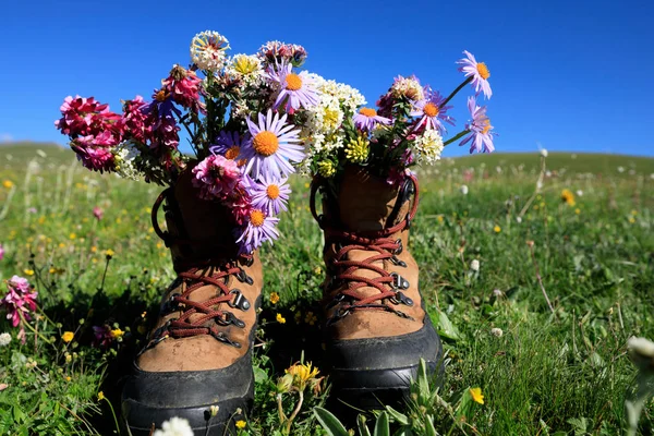 Wandelen laarzen met prachtige bloemen — Stockfoto