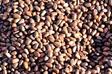 Çam fıstığı yığını