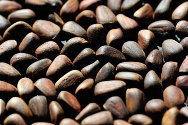 Çam fıstığı yığını