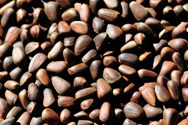 Çam fıstığı yığını