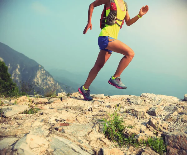 Çin Seddi üzerinde çalışan kadın  