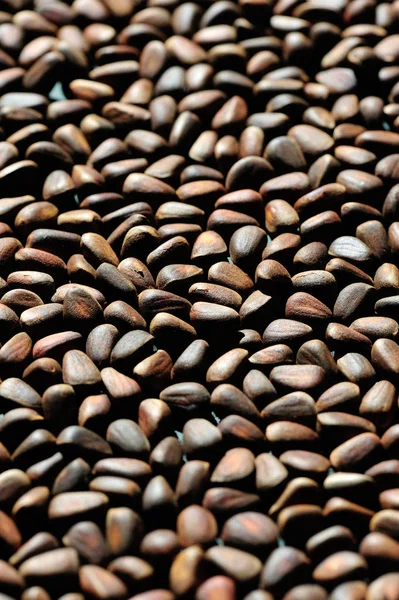 Çam fıstığı yığını