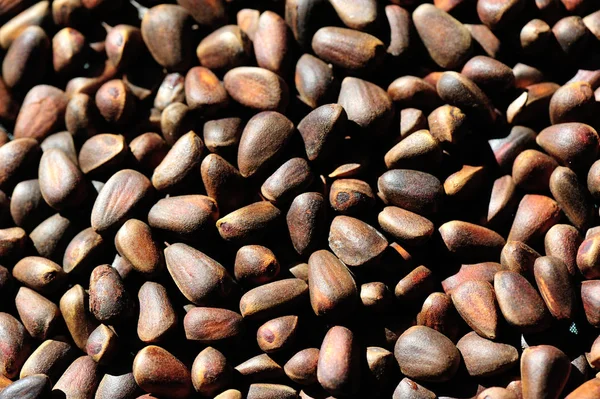 Çam fıstığı yığını