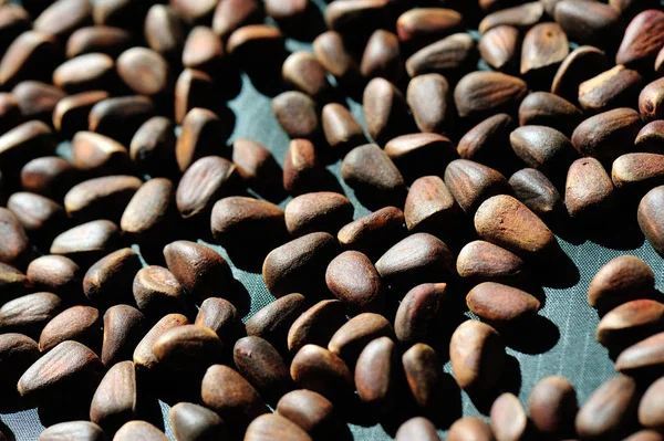 Çam fıstığı yığını