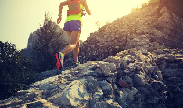 Dağda çalışan genç kadın