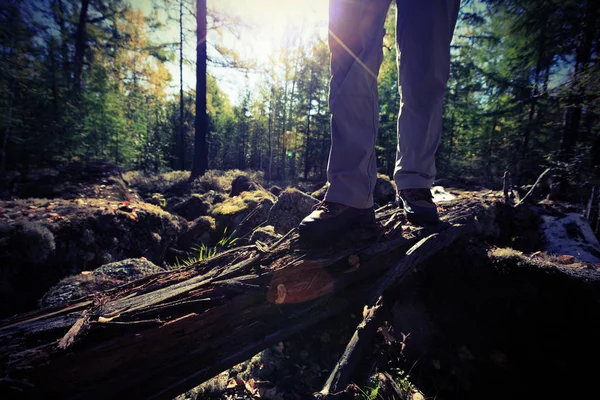 Piesze Wycieczki Nogi Lesie Sunrise — Zdjęcie stockowe