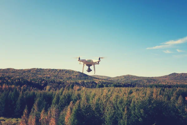 drone flying in the autumn forest