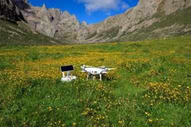 çim ve çiçek uzaktan kumanda ile robot