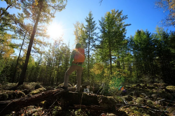 Fiatal nő élvezi megtekintése — Stock Fotó