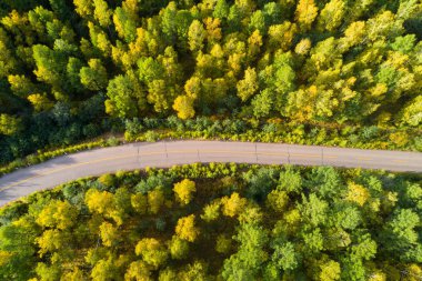  Renkli sonbahar ormanlarında yol