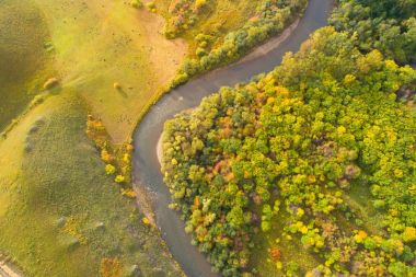 sonbahar orman ve küçük nehir