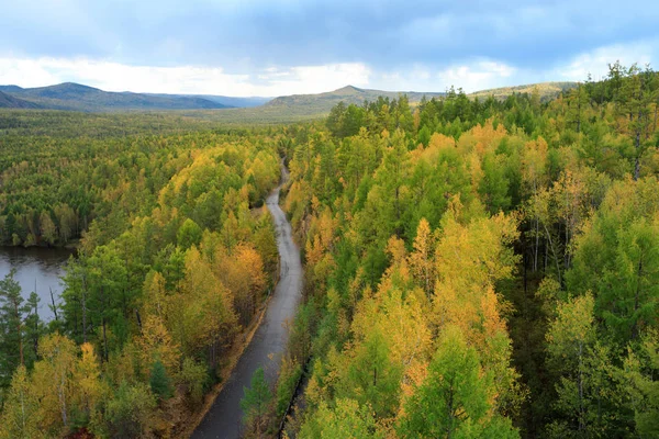  Renkli sonbahar ormanlarında yol