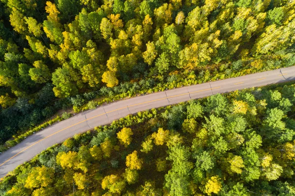  Renkli sonbahar ormanlarında yol