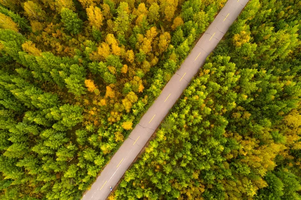Vägen i färgglad höstskog — Stockfoto
