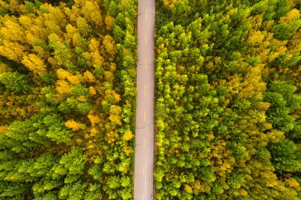 Vägen i färgglad höstskog — Stockfoto