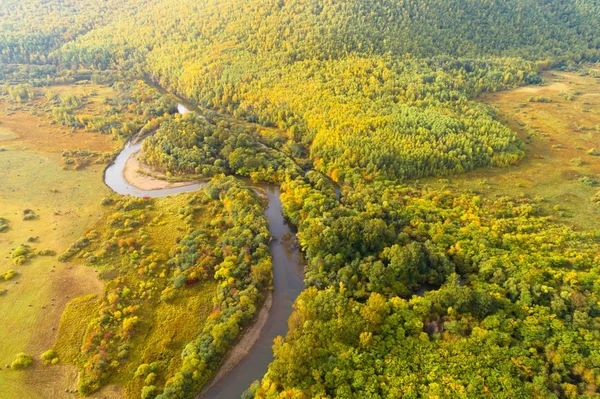 sonbahar orman ve küçük nehir