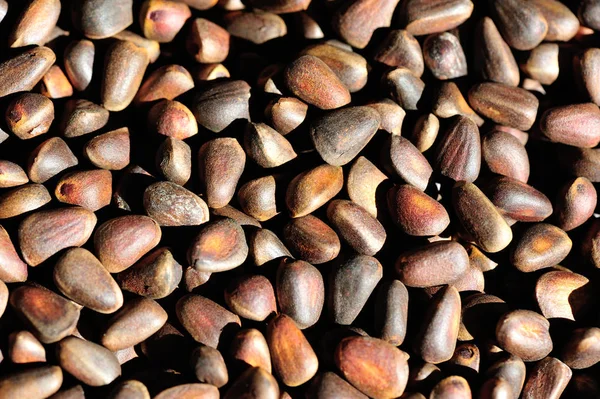 Çam fıstığı yığını