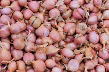 küçük kırmızı soğan tarım piyasa satış