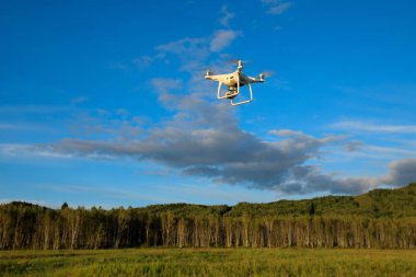 sonbahar orman üzerinde havada uçan uçak