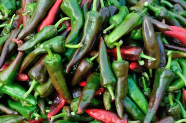 Taze kırmızı biber