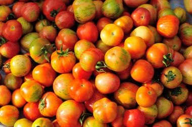  taze domates yığını