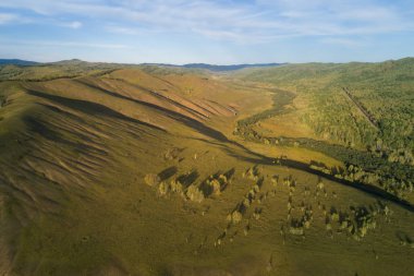 sonbahar orman manzarası